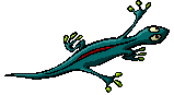 lizard.gif - 4094 Bytes